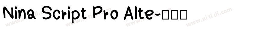 Nina Script Pro Alte字体转换